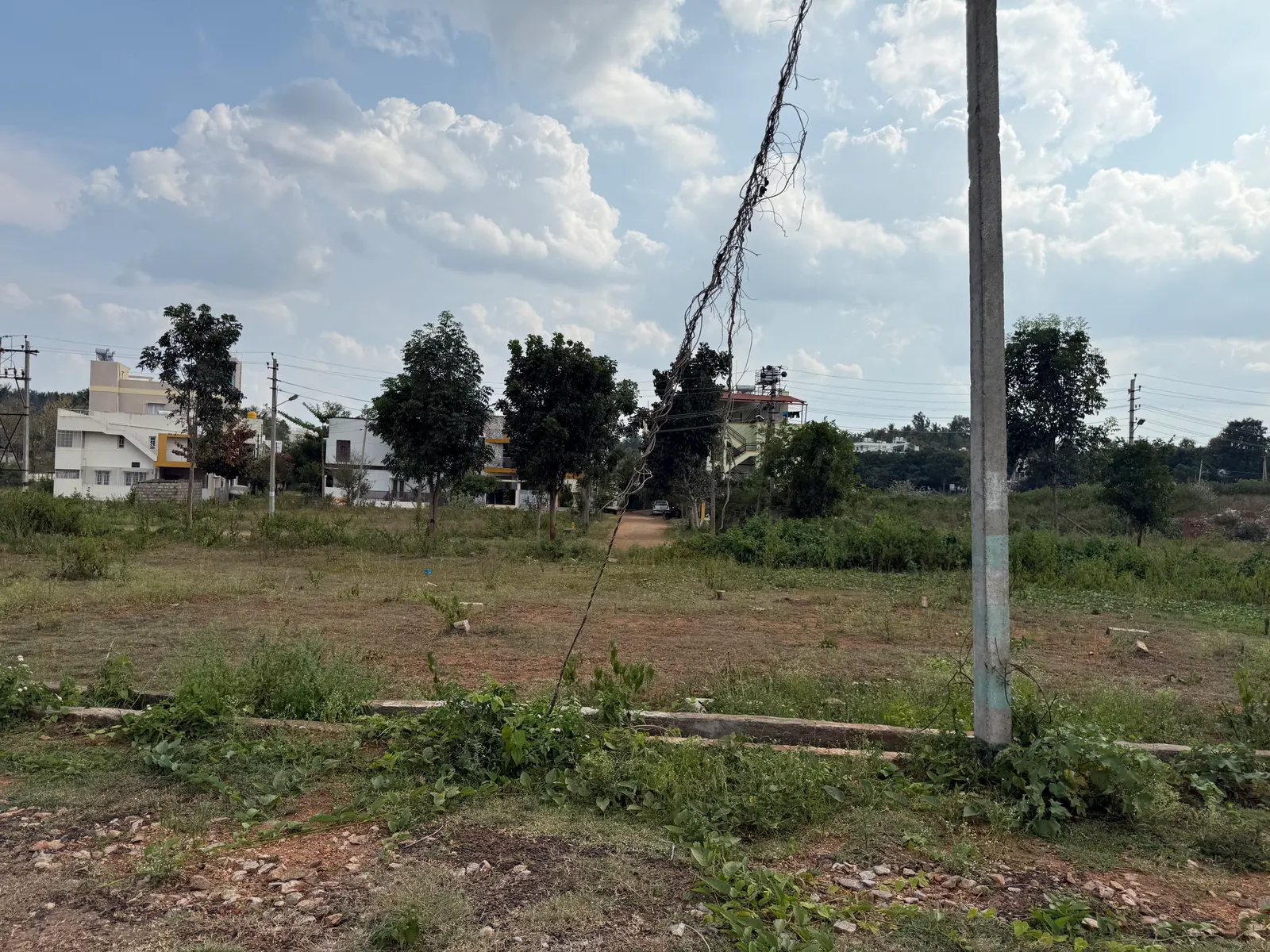 Residential Plot